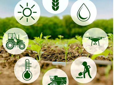 Farm Inputs & Supplies