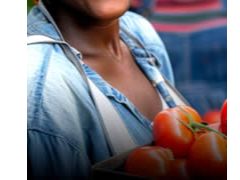 Karamoja Farmers Association